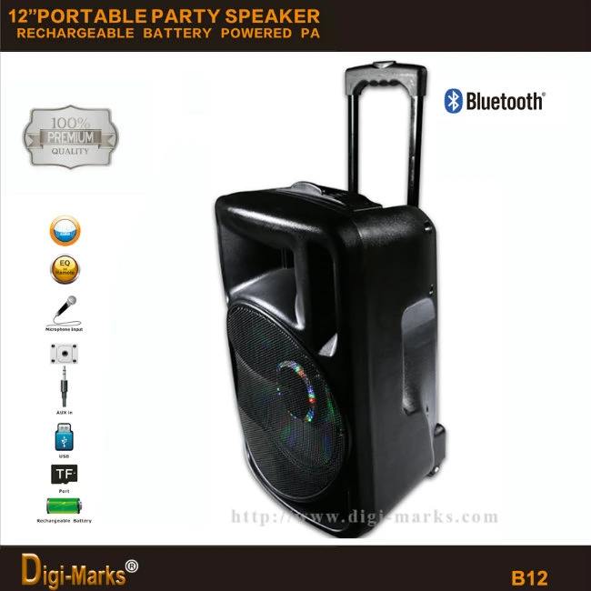 New 12′′ Popular Bluetooth Wireless MP3 FM/USB/SD/TF Mini Speaker